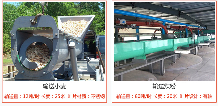 絞龍螺旋輸送機(jī)輸送小麥輸送量在12噸/時(shí)，長度為25米，葉片采用不銹鋼材質(zhì)；輸送水泥輸送量在80噸/時(shí)，長度為20米，葉片設(shè)計(jì)為有軸。